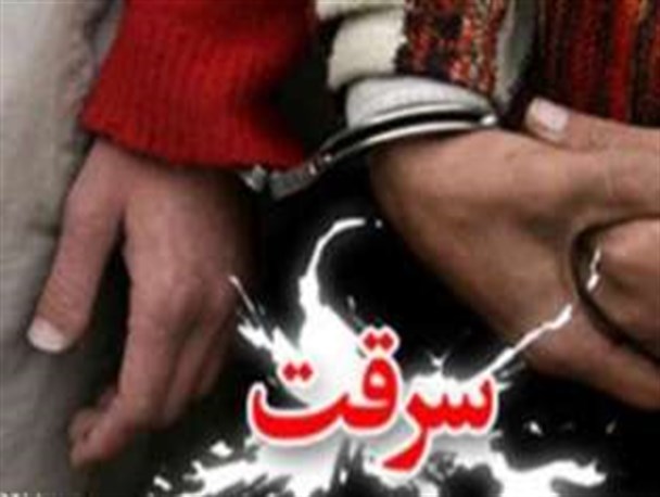 دستگیری سارقان منازل در شهرستان پارس آباد