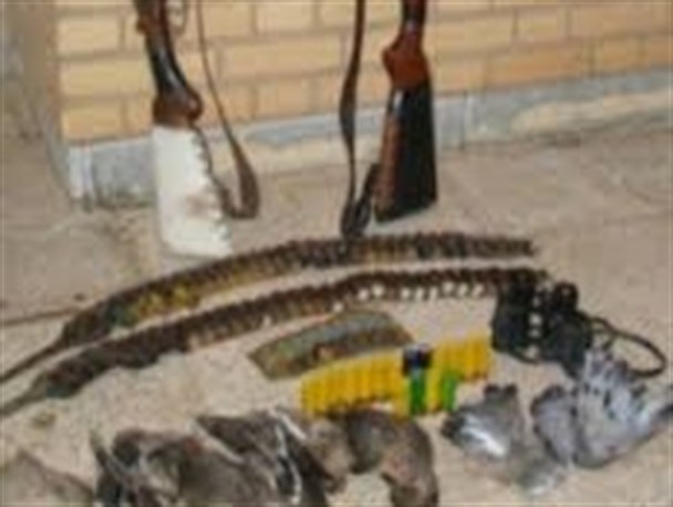 دستگیری دو شکارچی غیر مجاز پرندگان در گلپایگان