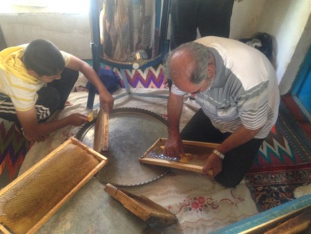 عسل گیری در روستای فسنگان تفرش/روستاییانی که اقتصاد مقاومتی را معنا می کنند