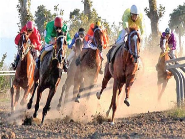 برگزاری اولین مسابقات شو اسب دره شوری/ سهم ویژه سوارکاری از دهکده المپیک شهرضا