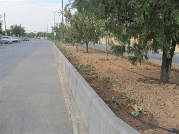 حذف چمن از بلوارهای فرمهین/بهسازی فضای سبز در راستای کاهش مصرف آب انجام می شود