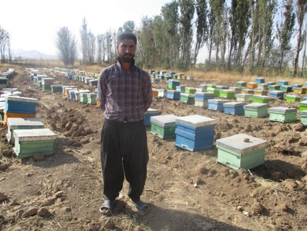گامی در جهت اقتصاد مقاومتی با پرورش زنبور عسل در روستای خیرآباد