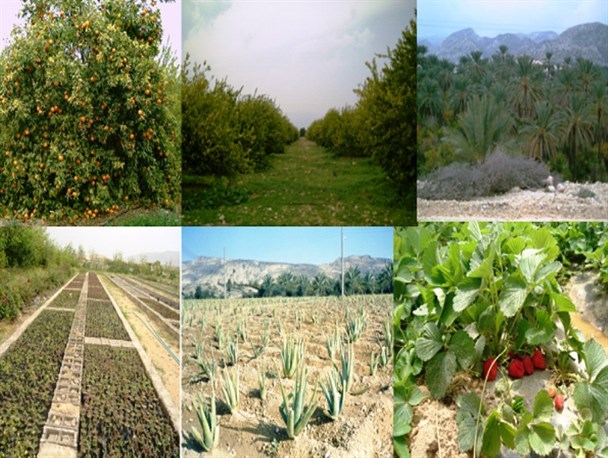 اجرای طرح « همگام با کشاورز» در روستاهای خاتم