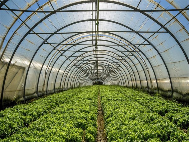 آغاز عملیات اجرایی بزرگترین شهرک گلخانه ای کشور در پارس آباد