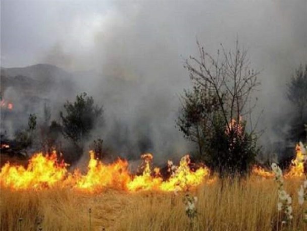 کاهش ۷۰درصدی آتش سوزی مراتع و جنگل های استان سمنان/ خطای انسانی علت آتش سوزی مراتع مجن