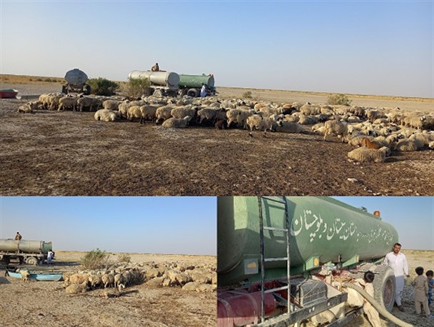 رفع تنش‌ آبی روستاهای سیستان وبلوچستان بر دوش نیروی زمینی سپاه/ توزیع۱۰۰ هزار لیتر آب در مناطق عشایری و کپرنشین" نیمروز"