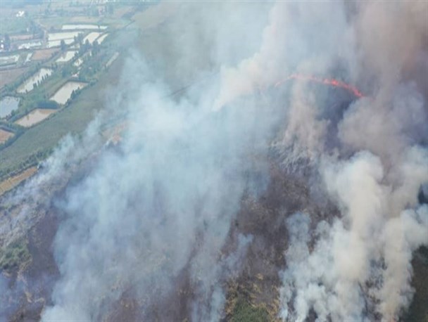 مهار آتش سوزی در تالاب بین‌المللی انزلی