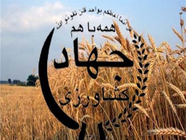 جای خالی پارس‌آبادی‌ها در بین گندم‌کاران و زارعان نمونه استان
