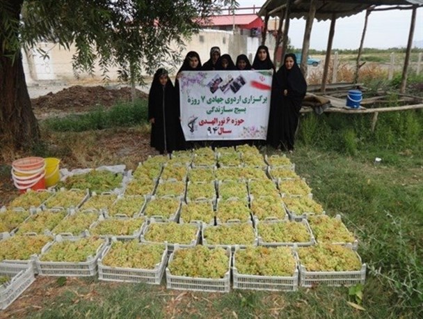اردوی جهادی بانوان ارومیه ای در باغات انگور/تصاویر