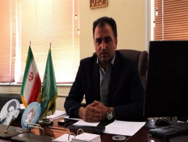 ۳۰۰ هکتار از اراضی کشاورزی شهرستان میاندوآب زیر کشت کلزا رفت