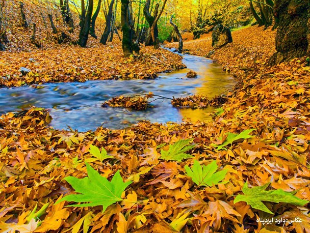 طبیعت زیبای پاییزی استان کهگیلویه و بویراحمد به روایت تصویر
