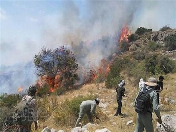 خاکستر شدن 50 هکتار جنگل در آتش سوزی روستای "عنا" شهرستان باشت/مهار آتش توسط نیروهای مردمی و منابع طبیعی