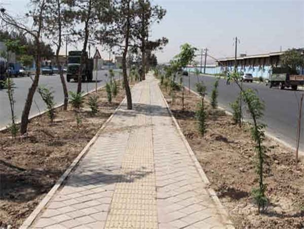 تغییر پوشش گیاهی فضای سبز کهریزک متناسب با شرایط جوی هوا