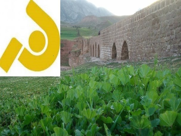 پلدختر در قاب تلویزیونی افلاک بیشتر نمود پیدا کرده است