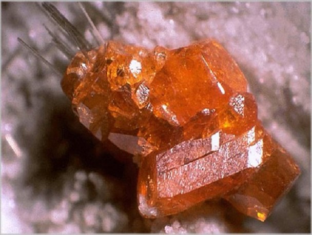 برگزاری نخستین دوره آموزش گوهرشناسی شمالغرب کشور در اردبیل