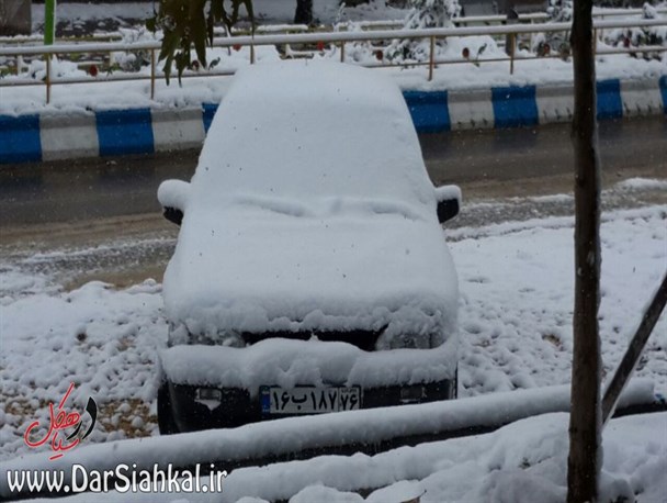 شهر دیلمان ۲۰ سانتی متر برف را پذیرا شد +گزارش تصویری