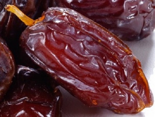 به بار نشستن گرانترین خرمای جهان در جهرم