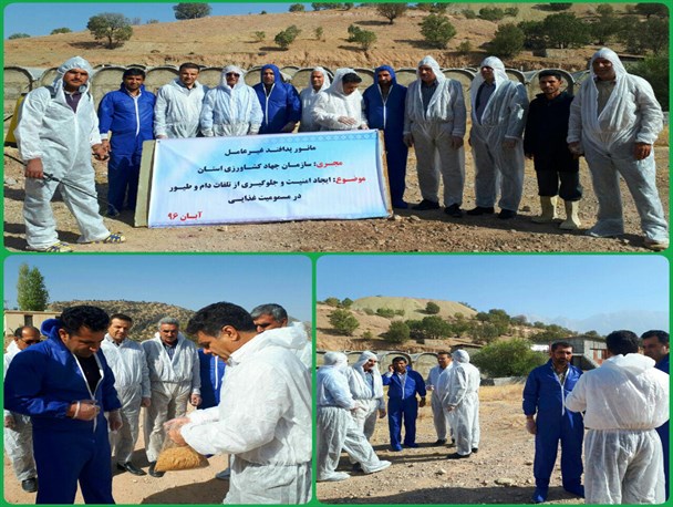 مانور پدافند غیرعامل سازمان جهاد کشاورزی استان در پاتاوه + تصاویر