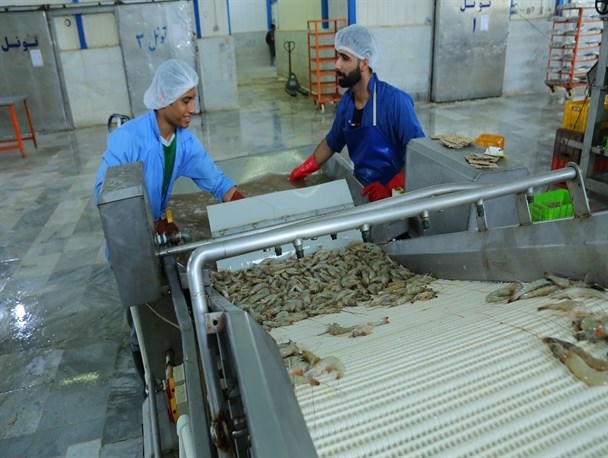 ایجاد کارخانجات فرآوری ماهی شهرستان ماهنشان در اولویت قرار گرفت