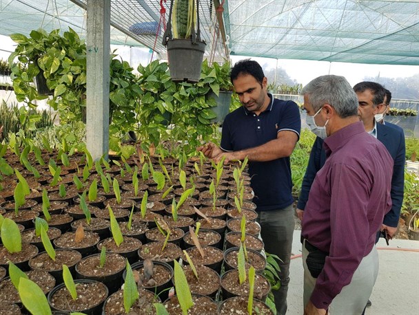 فارغ‌التحصیلان در روستاهای مازندران نباید دغدغه اشتغال داشته باشند