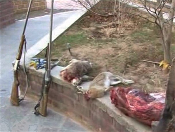 دو شکارچی متخلف در منطقه حفاظت شده خانگرمز تویسرکان دستگیر شدند