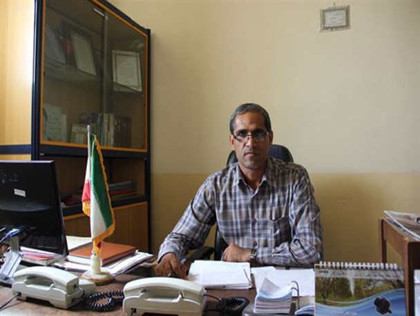 آغاز کاشت کلزا در 40 هکتار  از اراضی شهرستان پارسیان
