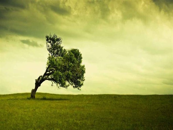 تند باد 66 کیلومتری در سرعین
