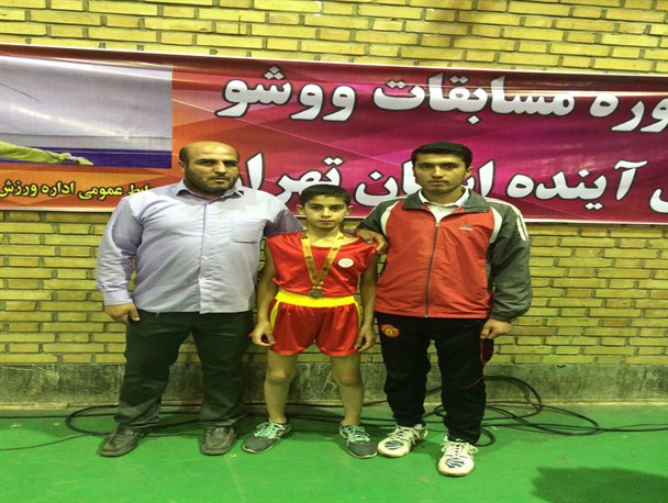 درخشش وشوو کار فیروکوهی در استان تهران