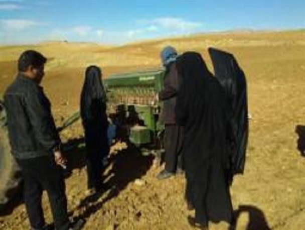 حضور مهندسین جهادگر در مزارع کشاورزی ایوان+تصاویر