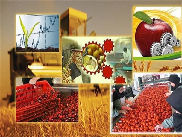 فرش قرمز رودباریها برای سرمایه گذاران صنایع تبدیلی