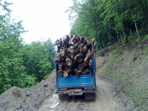 کشف 10 تن چوب قاچاق در آمل