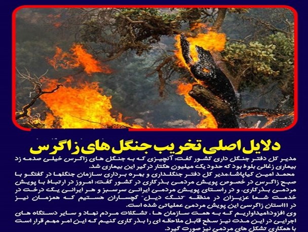 دلایل اصلی تخریب جنگل های زاگرس تشریح شد