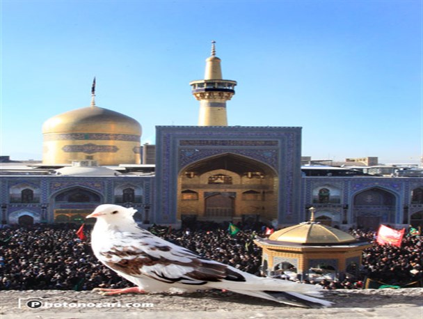 معجزه امام رضا(ع) برای بچه های تفحص/ شهیدی که پس از شهادت به خواسته اش رسید