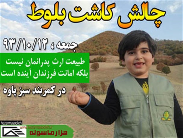 فراخوان کاشت بلوط در کمربند سبز پاوه