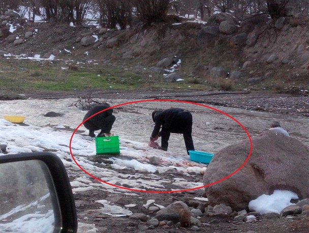 کشتار غیر بهداشتی طیور در بستر رودخانه خیاوچایی مشگین‌شهر