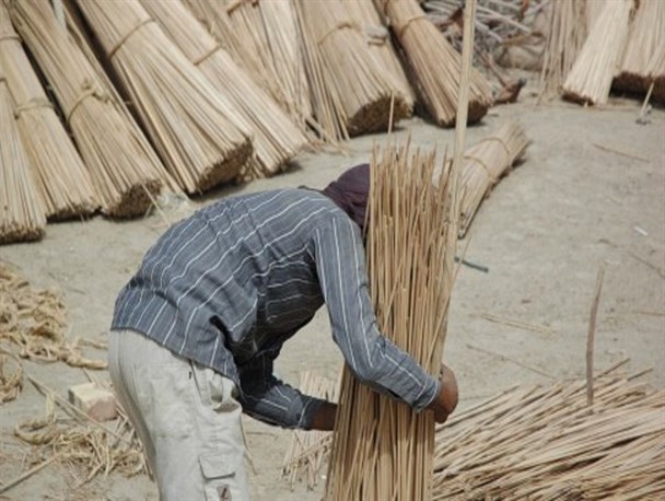 درآمد 30میلیونی از کار حصیر بافی/ رد پای دلالان در بازار صنایع دستی سیستان و بلوچستان