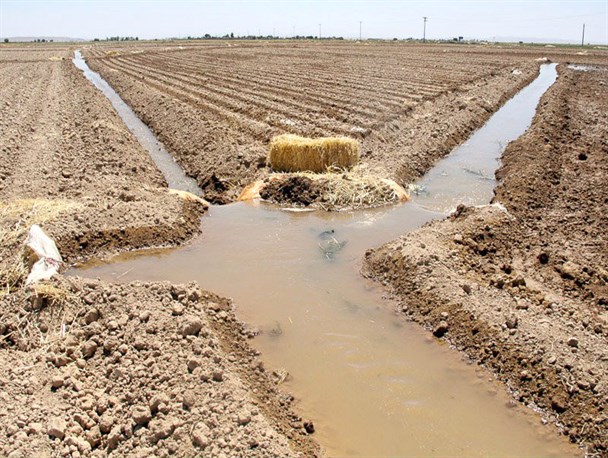 پروانه‌های بهره‌برداری آب چاه‌ها از روی عدالت نیست/ بحران ساختگی آب کشاورز سرخسی را حاشیه‌نشین شهرها می‌کند/ در سرخس بحران آب نداریم/ تعیین خسارت حق آبه کشاورزان عادلانه نیست