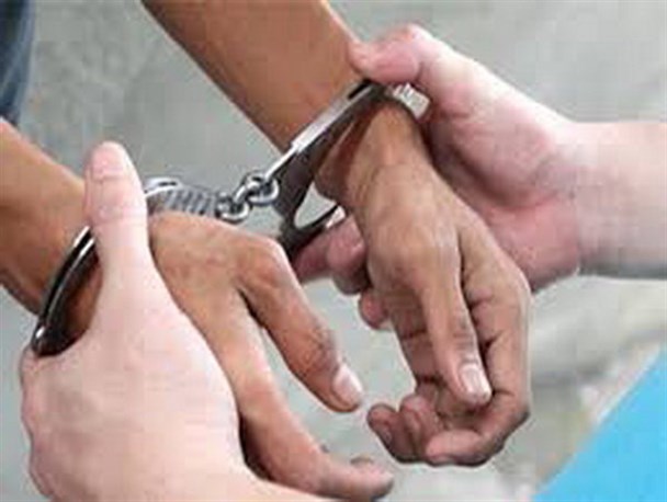 دستگیری سارق احشام در دیر