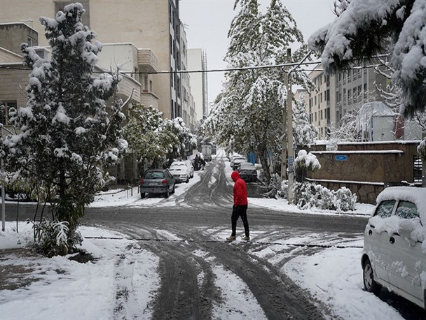 پیش بینی بارش برف، باران و مه آلودگی در کلانشهرهای البرز/کشاورزان مانع تلف شدن دام و طیور شوند