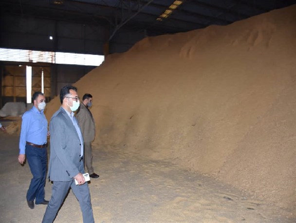 صدور دستور قضایی برای ترخیص فوری محموله‌های دو کشتی حامل ۱۳۴هزار تن جو وارداتی