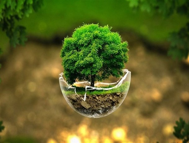 تشکیل کمیته تخصصی محیط زیست شورای اسلامی شهر بوشهر