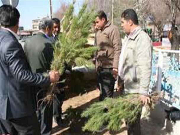 بیش از ۱۰هزار اصله انواع نهال در خاتم توزیع شد