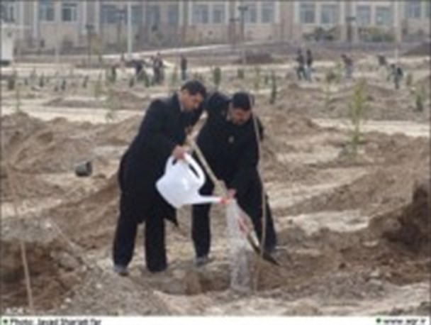 کاشت ۲۰۰ درخت به مناسبت روز درختکاری توسط خدام رضوی