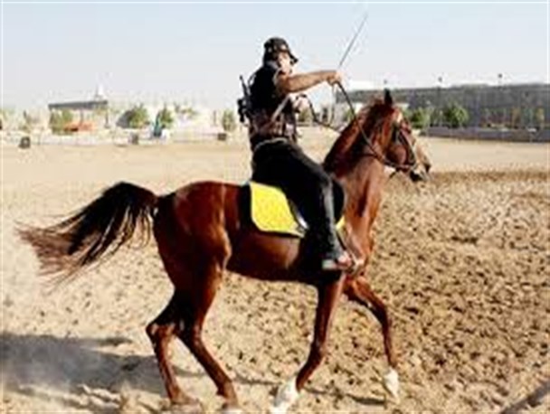 رشته استقامت هزینه بالایی دارد/ به دلیل بی توجه ای به سمت اداره ورزش و جوانان نرفته ایم