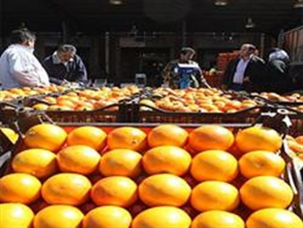 کشف 22 تن نارنگی قاچاق در جاده حسن آباد به اصفهان