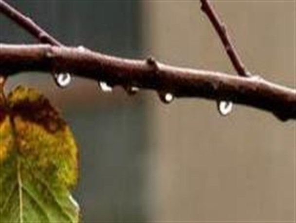 بارندگی سیروان نسبت به مدت مشابه سال گذشته 45 درصد کاهش داشته است