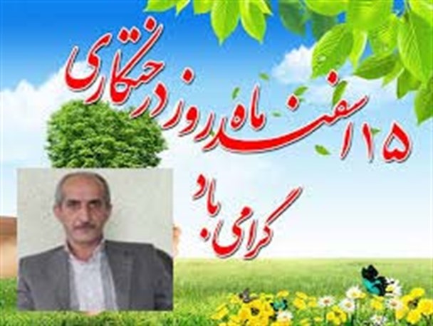 توزیع 8هزار اصله نهال رایگان/ مردم همیار طبیعت میشوند
