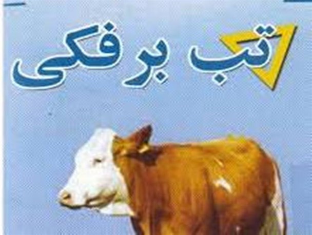 انتقال هرگونه دام در رودبار جنوب را ممنوع اعلام کرد