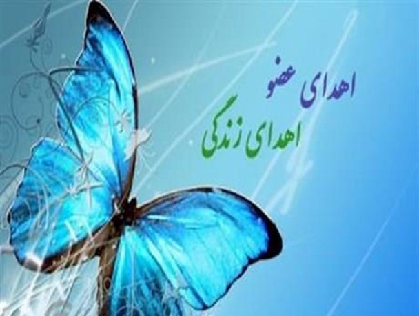 کهگیلویه و بویراحمد رتبه اول اهدای عضو در کشور است