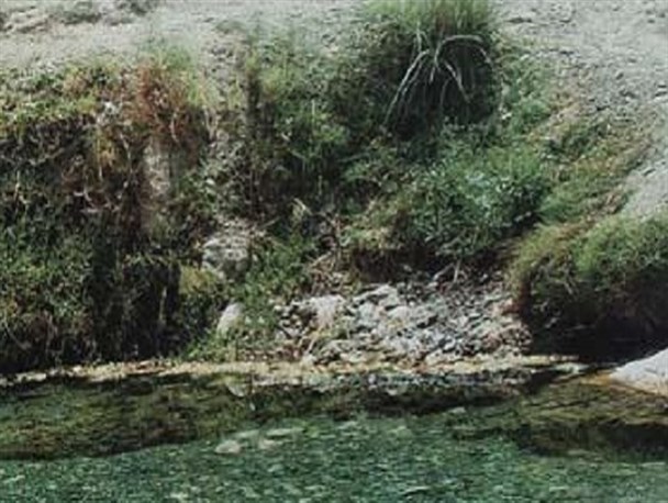 چشمه های آبگرم حاجی آباد پذیرای مسافران نوروزی+تصویر
